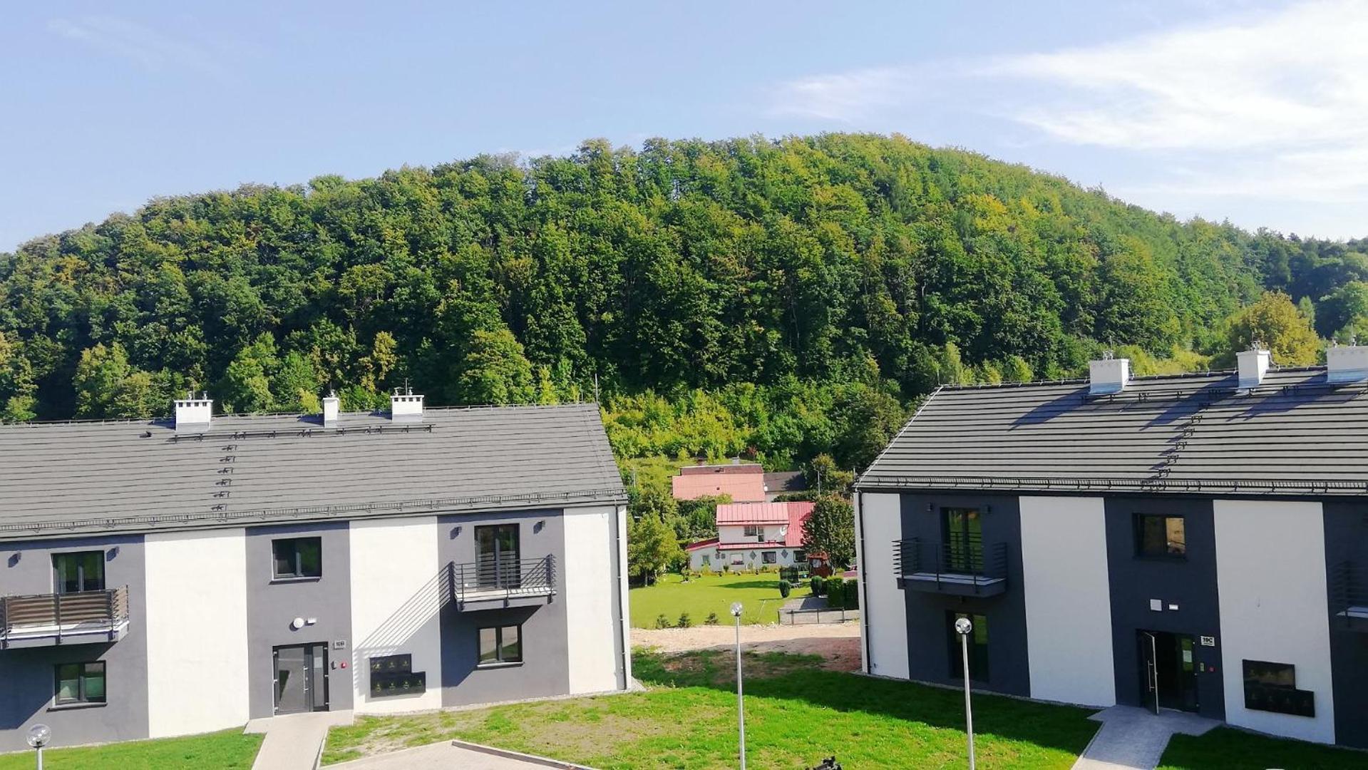 Apartment Roku 2025 !! Spa & Relax Jelen & Natura Кудова-Здруй Екстер'єр фото